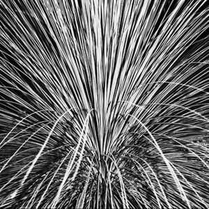 Meet your Posher, Kelley